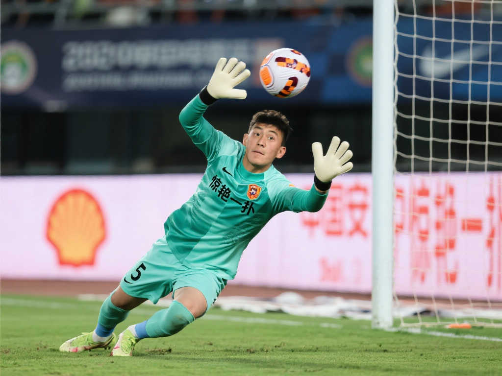 组织在面对 组织在面对