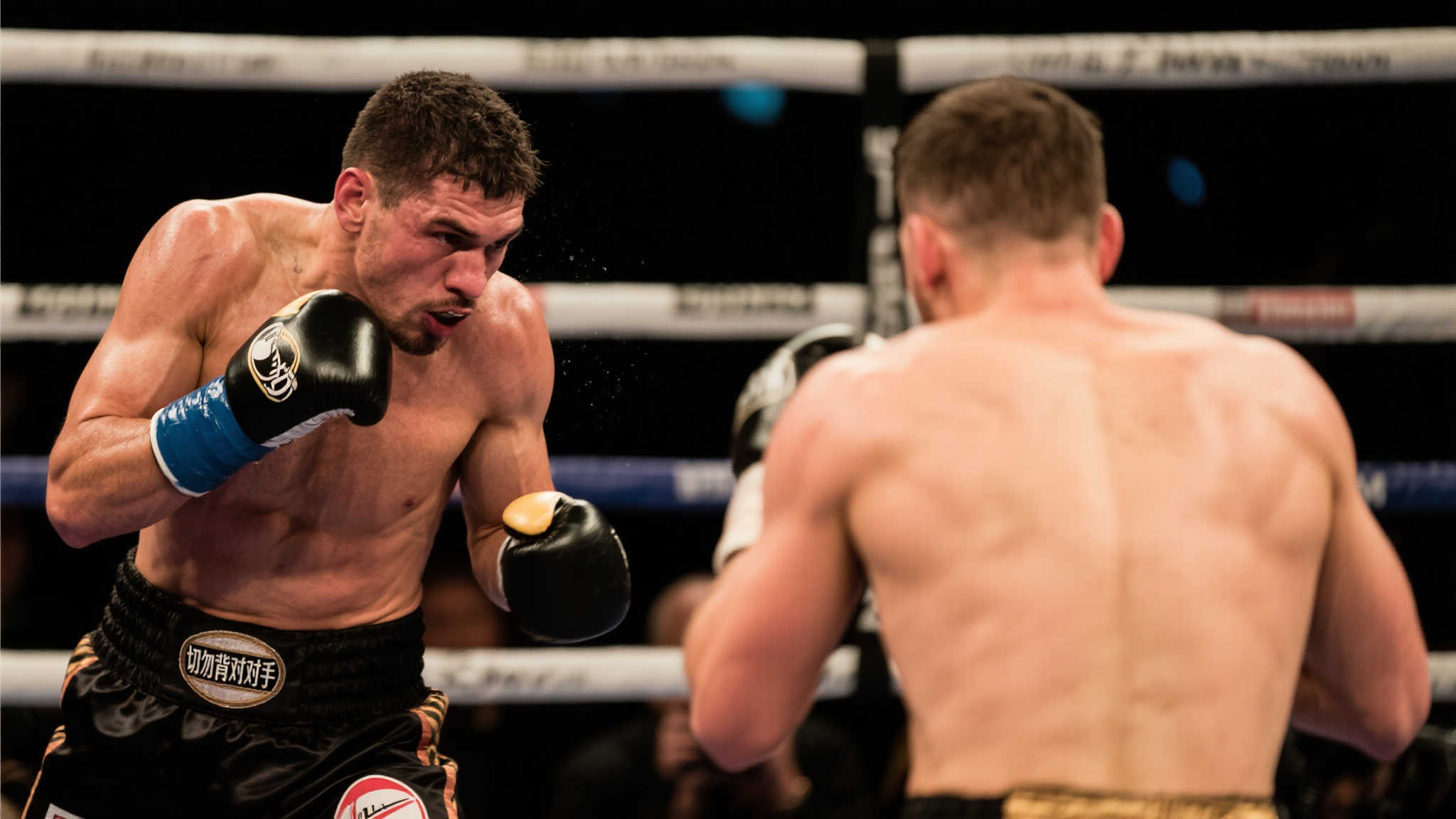 陣容在年輕 陣容在年輕