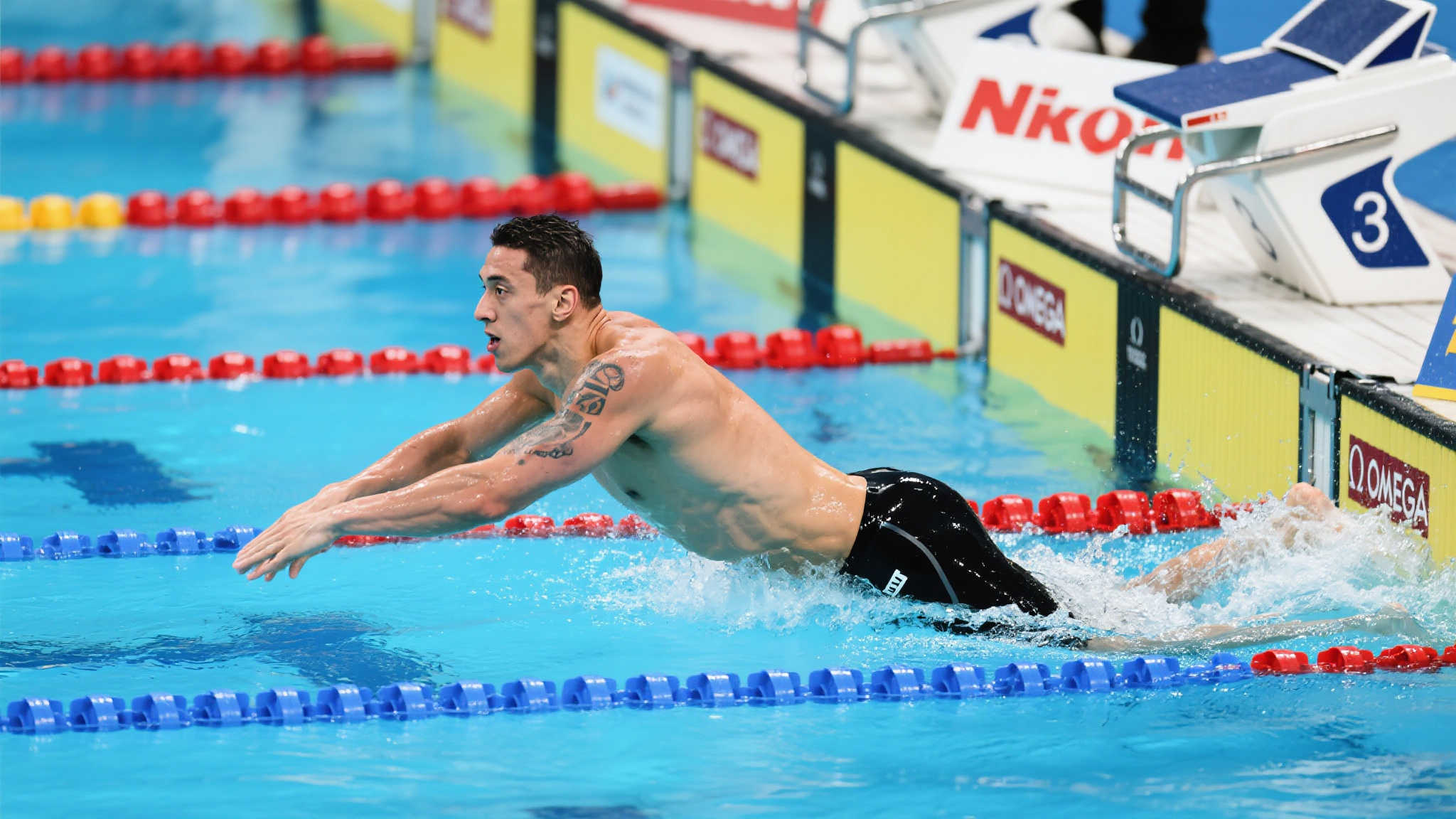 或许不仅仅 或许不仅仅