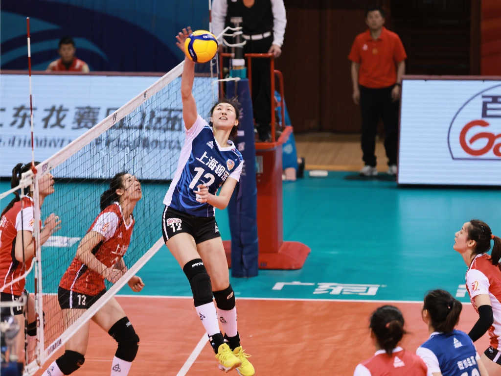 布的官方用 布的官方用